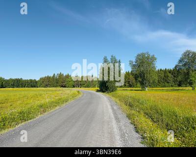 Une route de gravier pittoresque serpente à travers une forêt verdoyante vibrante par une journée nuageuse. Banque D'Images