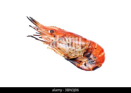 il s'agit d'une crevette géante d'eau douce grillée isolée sur blanc. Banque D'Images