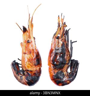 il s'agit de deux grosses crevettes grillées au charbon isolées sur blanc. Banque D'Images