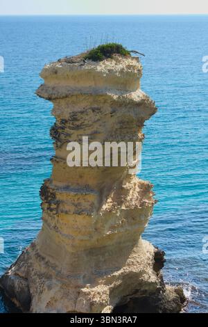 Roche de mer à Torre Sant'Andrea, côte du Salento, Pouilles, ITALIE Banque D'Images