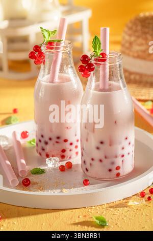 Thé moussant au cassis rouge sucré et aigre pour l'été. Boisson fraîche pour les journées chaudes. Banque D'Images
