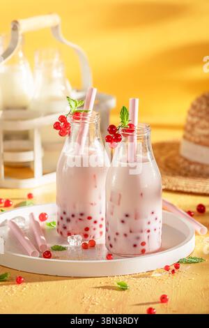 Thé moussant au cassis rouge sucré et aigre pour les journées chaudes. Thé moussant avec des fruits frais. Banque D'Images