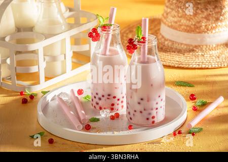 Thé à bulles rouge frais et réfrigéré à base de groseille en forêt. Boisson fraîche pour les journées chaudes. Banque D'Images