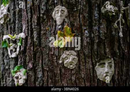 Visage de monstre sur l'arbre avec des épines et des verrues acérées. Arbre esprit et concept de fantaisie. Esprits païens, rituels 20 Banque D'Images