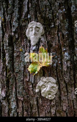 Visage de monstre sur l'arbre avec des épines et des verrues acérées. Arbre esprit et concept de fantaisie. Esprits païens, rituels 20 Banque D'Images