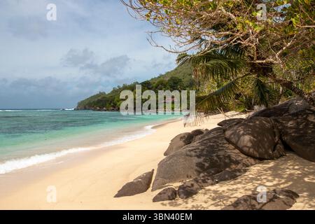 Des palmiers et une plage de sable blanc aux eaux turquoise limpides s’étendent le long de l’Anse Marie Louise sur l’île de Mahé aux Seychelles sous un ciel ensoleillé. Banque D'Images