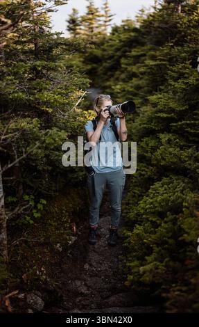 Femme prend une photo pendant une randonnée dans la forêt à feuilles persistantes, Maine Banque D'Images