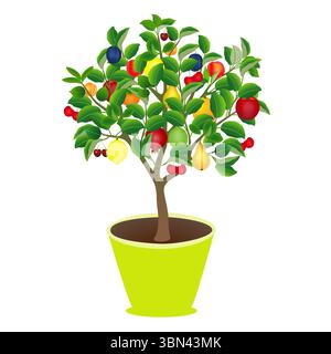 Arbre dans un pot avec différents fruits sur un fond blanc. Illustration de Vecteur