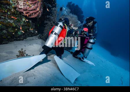 Plongeurs explorant les coraux de l'eau tropicale à Raja Ampat Banque D'Images