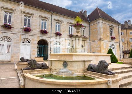 France, Jura, Franche-Comté, Bourgogne-Franche-Comté, Lons-le-Saunier. L'ancien hôtel de ville Banque D'Images