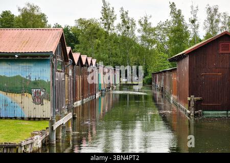 Rangée de bateaux colorés altérés par les intempéries sur le bord de l'eau à Tollense Voir à Neubrandenburg, reflétant dans l'eau calme du lac, entouré d'arbres und Banque D'Images