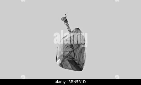 rendu 3d des poumons poly-bas sur fond blanc. Poumons humains filaires. illustration 3d. Banque D'Images