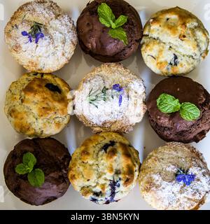 Voir formulaire directement au-dessus de différentes saveurs de muffins maison fraîchement cuits sur une assiette blanche. Banque D'Images