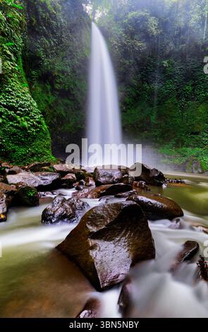 Vue sur une cascade majestueuse descendant des falaises verdoyantes, embrassée par les pierres lisses de la rivière et l'eau douce et coulante, Bali, Indonésie. Banque D'Images