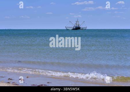 Sylt, Deutschland 15. Mai 2025 : Im Bild : Ein malerischer Anblick eines Fischkutters, der mit ausgelegten Netzen auf Fangfahrt ist, aufgenommen vor der Küste Sylts. DAS Schiff schwimmt ruhig auf dem leicht bewegten Wasser, dessen Farben von hellem Türkis bis zu tieferem blau reichen. Der weite, klare Himmel darüber ist nur von wenigen zarten Wolken durchzogen. IM Vordergrund sind die sanften Wellen des Meeres zu sehen, die auf den sandigen Uferbereich zulaufen, WO kleine Algen und Muscheln liegen. Die Szene fängt die Essenz des maritimen Lebens an der Nordseeküste ein und zeigt die traditionell Banque D'Images