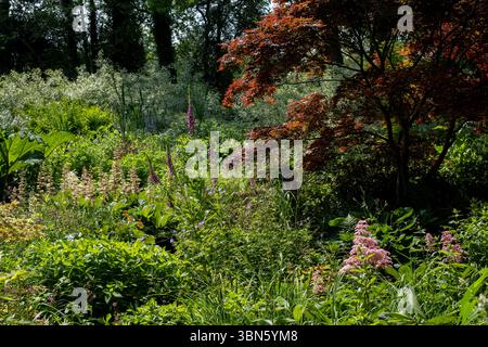 Jardins d'eau de Westonbury Mill le 11 juin 2025 à Pembridge, Royaume-Uni. Banque D'Images