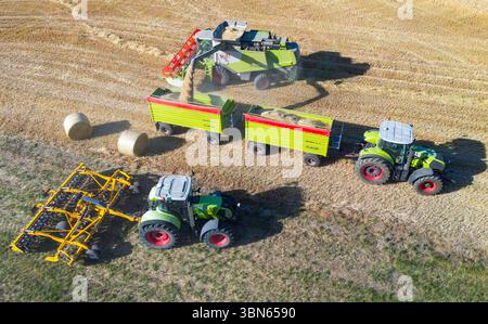 Petersdorf, Allemagne. 30 juin 2025. Un agriculteur décharge de l'orge battue de sa moissonneuse-batteuse dans un champ du district d'Oder-Spree (vue aérienne avec un drone). La récolte des céréales commence actuellement dans les champs de l'Allemagne. Crédit : Patrick Pleul/dpa/Alamy Live News Banque D'Images