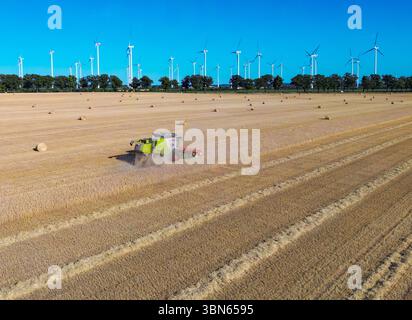 Petersdorf, Allemagne. 30 juin 2025. Un agriculteur récolte de l'orge avec sa moissonneuse-batteuse dans un champ du district d'Oder-Spree dans l'est du Brandebourg (vue aérienne avec un drone). La récolte des céréales commence actuellement sur les champs en Allemagne. Crédit : Patrick Pleul/dpa/Alamy Live News Banque D'Images