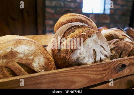 Plateau en bois avec une variété de pains dessus. Les pains sont tous de différentes formes et tailles, et ils semblent être fraîchement cuits. Concept de chaleur et Banque D'Images