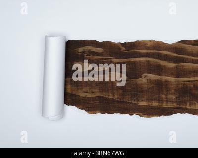 Un morceau de papier blanc est déchiré pour révéler un grain de bois brun foncé en dessous. Banque D'Images