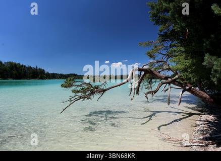 Osterseen, Deutschland. 30 juin 2025. Hier der Blick auf den grossen Ostersee zwischen Iffeldorf und Seeshaupt, Kleinod, türkis, Badesee, Naturschutzgebiet, comme Karibik, Sommer, hitze, baden, Schwimmen, Sonnen, spazieren, wandern, Fahrradfahren, Ausflugsziel, Gut mit der Bahn erreichbar, Sandstrand, Bayern, Oberbayern crédit : dpa/Alamy Live News Banque D'Images