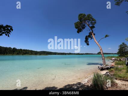 Osterseen, Deutschland. 30 juin 2025. Hier der Blick auf den grossen Ostersee zwischen Iffeldorf und Seeshaupt, Kleinod, türkis, Badesee, Naturschutzgebiet, comme Karibik, Sommer, hitze, baden, Schwimmen, Sonnen, spazieren, wandern, Fahrradfahren, Ausflugsziel, Gut mit der Bahn erreichbar, Sandstrand, Bayern, Oberbayern crédit : dpa/Alamy Live News Banque D'Images