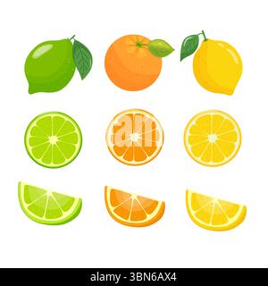 ensemble naturel juteux d'agrumes citron vert, orange, citron. illustration de la coupe entière et transversale des agrumes. dessiné à la main. Illustration de Vecteur