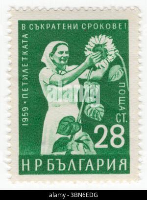 BULGARIE — 1960 juillet 9 : 28 stotinki timbre-poste vert vif représentant une femme cueillant des tournesols. Achèvement anticipé du plan quinquennal. Helianthus annuus est une grande forge annuelle du genre Helianthus. Il est communément cultivé comme culture pour ses graines huileuses comestibles. Outre la production d'huile de cuisson, elle est également utilisée comme fourrage pour le bétail, comme nourriture pour oiseaux, dans certaines applications industrielles et comme ornement dans les jardins domestiques. Il est également et peut être utilisé dans la cuisine et les salades. L’huile de tournesol est utilisée pour la cuisine, comme huile de support et pour produire de la margarine et du biodiesel, car elle est moins chère que l’huile d’olive Banque D'Images