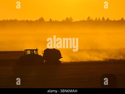 Petersdorf, Allemagne. 30 juin 2025. Un agriculteur conduit son tracteur et une presse à paille à travers un champ de céréales partiellement récolté dans le district d'Oder-Spree dans l'est du Brandebourg tard dans la soirée au coucher du soleil et presse des balles rondes. La récolte des céréales commence actuellement sur les champs en Allemagne. Crédit : Patrick Pleul/dpa/Alamy Live News Banque D'Images