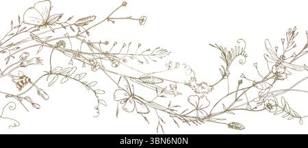 Délicate bordure botanique sans couture dessinée à la main dans une ligne élégante Présente des fleurs sauvages, des feuilles et des herbes dans le flux naturel. Idéal pour les invitations Illustration de Vecteur