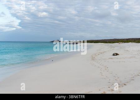 Plage de sable avec eau turquoise à Gardner Bay sur l'île d'Espanola, parc national des Galapagos, Équateur. Banque D'Images