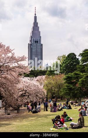 Les gens apprécient la saison des cerisiers au jardin national Shinjuku Gyoen à Tokyo, au Japon. Bâtiment NTT Docomo Yoyogi en arrière-plan. Banque D'Images