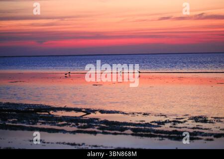 Magnifique coucher de soleil au point de vue du pont d'Adam, Talaimannar, Sri Lanka. Le soleil fond dans l'horizon et la nature peint son dernier chef-d'œuvre de la journée Banque D'Images