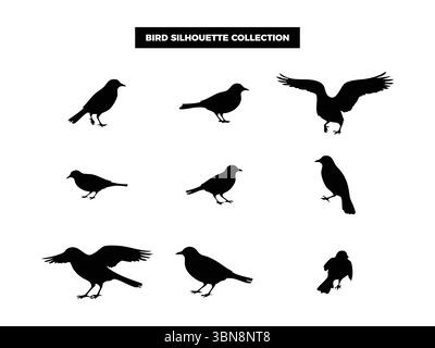 Silhouettes d'oiseaux vectoriels de haute qualité dans diverses poses, volantes, au repos et perchées. Idéal pour les logos, les t-shirts, les affiches et les proj de design sur le thème de la nature Illustration de Vecteur