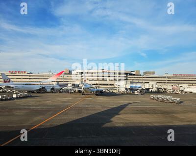 Japan Airlines jette à Tokyo Haneda terminal 1 Apron Banque D'Images