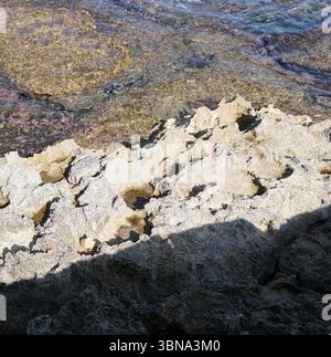 Un rivage rocheux avec un mélange de roches beige clair et gris, dont certaines sont recouvertes de taches d'algues vertes. Les rochers débordent dans l'eau claire et bleue, qui semble être peu profonde. L'eau est relativement calme, avec de douces ondulations. L'ombre d'une personne est projetée sur les rochers, ajoutant de la profondeur à la scène. Les roches sont de forme et de taille irrégulières, certaines paraissant plus grandes que d'autres. Légende façonnée par l'œil d'un artiste et l'imagination., Chypre Banque D'Images