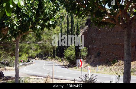 Une route sinueuse qui courbe doucement vers la droite, entourée d'un paysage luxuriant d'arbres et d'arbustes. La route est bordée par un garde-corps sur le côté gauche et une falaise rocheuse sur la droite. La surface de la route est un asphalte gris foncé. Une flèche rouge et blanche est visible sur le côté droit de la route. Les arbres et les arbustes sont un mélange de vert et de brun, certains montrant des signes de sécheresse ou de brunissement. La scène est baignée de lumière du soleil, projetant des ombres sur la route et la végétation environnante., les sites touristiques de Chypre Banque D'Images