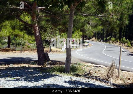 Une route sinueuse qui courbe doucement vers la droite, entourée d'un paysage luxuriant et verdoyant d'arbres et d'arbustes. La route est bordée par un garde-corps blanc sur le côté droit, et un panneau rouge et blanc est visible sur le côté gauche. La surface de la route est un asphalte gris foncé. Le premier plan présente une zone de gravier avec quelques rochers et une petite plante à l'aspect sec. La scène est baignée de lumière du soleil, projetant des ombres sur le sol., les sites de Chypre Banque D'Images