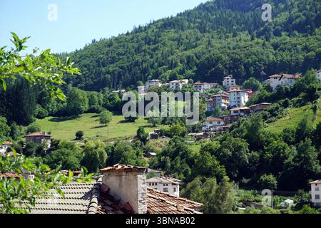 Un village pittoresque niché sur une colline, entouré de verdure luxuriante et d'arbres imposants. Le village est composé d'un mélange de maisons aux toits blancs et rouges, avec certains bâtiments présentant des toits en terre cuite ou en tuiles brunes. Les maisons sont dispersées à flanc de colline, certaines semblant être en mauvais état. La colline est couverte d'une variété d'arbres et d'arbustes, créant un paysage verdoyant vibrant. Le ciel bleu clair offre une toile de fond sereine à la scène. La perspective de l'image est d'un point de vue légèrement surélevé, offrant une vue panoramique sur le village et ses environs Banque D'Images