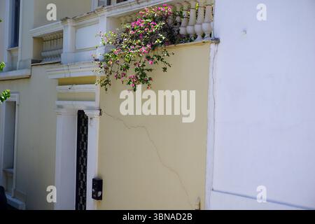 Athènes - la capitale vibrante de la Grèce, imprégnée d'histoire et de culture, Athènes - le berceau de la civilisation occidentale et de la démocratie., Un bâtiment crème ou jaune pâle avec un balcon blanc orné d'une plante de bougainvilliers rose vibrante. Le bâtiment a une porte blanche avec une barrière de sécurité en métal noir et un petit objet de couleur sombre, peut-être une boîte aux lettres, attaché au mur à côté de la porte. L'extérieur du bâtiment est principalement crème ou jaune pâle avec une fissure visible sur le côté. La perspective de l'image est vue du sol, regardant le bâtiment, ce qui donne une impression d'échelle Banque D'Images