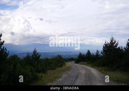 Bansko est une ville pittoresque du sud-ouest de la Bulgarie, nichée au pied des montagnes Pirin., Un chemin de terre sinueux qui traverse un paysage verdoyant et luxuriant. La route, qui semble être faite de gravier ou de petites pierres, est entourée d'arbres et d'arbustes, avec un mélange d'arbres à feuilles persistantes et à feuilles caduques. Le ciel est rempli de nuages, projetant une lumière douce sur la scène. Au loin, une chaîne de montagnes s'étend à travers l'horizon, leurs sommets obscurcis par les nuages. Les montagnes semblent être un mélange de tons bruns et gris. La route semble être relativement étroite, et la végétation Banque D'Images