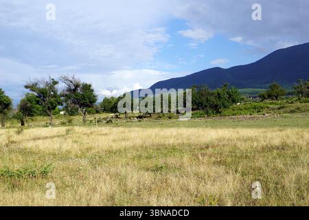 Bansko est une ville pittoresque dans le sud-ouest de la Bulgarie, nichée au pied des montagnes Pirin., Un paysage serein avec un champ d'herbe sèche et dorée qui s'étend vers l'horizon. Le champ est parsemé de quelques arbres éparpillés, leur feuillage vert offrant un contraste avec les teintes dorées de l'herbe. Au loin, une chaîne de montagnes majestueuse s’élève, ses sommets entourés d’un mélange de nuages bleus et gris. Le ciel est bleu clair avec quelques nuages blancs. Les montagnes semblent recouvertes de végétation, bien qu'il ne soit pas tout à fait clair si c'est une forêt dense. L'œil et l'imagination d'un artiste Banque D'Images