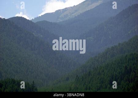 Bansko est une ville pittoresque dans le sud-ouest de la Bulgarie, nichée au pied des montagnes Pirin., Un paysage montagneux serein avec une forêt dense d'arbres vert foncé couvrant les pentes. Les montagnes sont principalement couvertes de conifères, avec certaines zones montrant des notes d'autres végétaux. Le ciel est d'un bleu clair avec quelques nuages blancs dispersés. La perspective est d'un angle bas, regardant vers les montagnes imposantes, créant un sentiment de grandeur et d'échelle. L’image est dépourvue de toute présence humaine ou texte, permettant au spectateur de s’immerger pleinement dans la beauté naturelle Banque D'Images