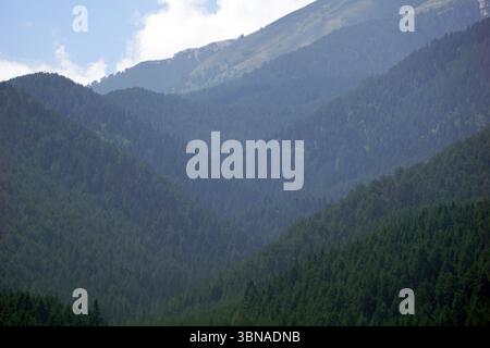 Bansko est une ville pittoresque dans le sud-ouest de la Bulgarie, nichée au pied des montagnes Pirin., Un paysage montagneux serein avec une gamme d'arbres vert foncé, conifères couvrant les pentes. Les montagnes sont recouvertes d'une forêt dense, les arbres semblant être principalement des conifères. Le ciel est d'un bleu clair avec quelques nuages blancs dispersés. La perspective de l'image est d'un point de vue élevé, regardant vers le bas sur les montagnes et les vallées, créant une impression de profondeur et d'échelle. Les montagnes à l'arrière-plan sont d'une couleur brun clair ou brun clair, et les vallées sont une nuance plus foncée de Banque D'Images