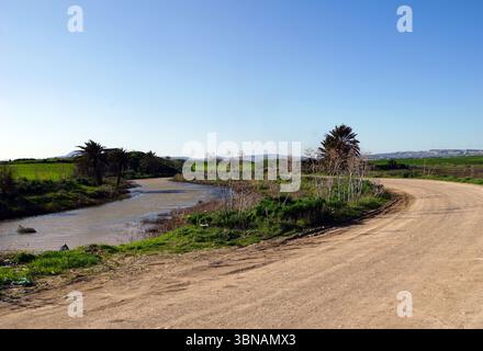 Chypre, Larnaca Salt Lake, Un chemin de terre sinueux qui courbe doucement vers la droite, disparaissant au loin. La route est flanquée d'une végétation luxuriante, y compris des palmiers et d'autres arbustes, et une petite rivière ou ruisseau peu profonde longe. Le ciel est d'un bleu clair et lumineux, et le paysage est vaste, avec des collines et des montagnes ondulantes visibles au loin. La route semble être dans une zone rurale ou agricole, avec un mélange de végétation et quelques petites structures visibles au loin. Un œil d'artiste et une imagination façonnée Banque D'Images