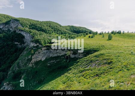 Prairie de montagne ensoleillée avec des collines verdoyantes, des falaises et des arbres dispersés sous un ciel bleu clair Banque D'Images