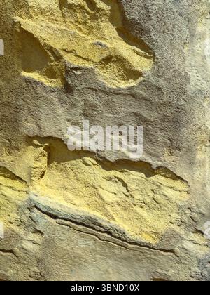 Cette image rapprochée d'un rocher magnifiquement texturé met en valeur ses motifs jaunes et gris uniques et complexes, ce qui le rend parfait pour diverses nature et Banque D'Images