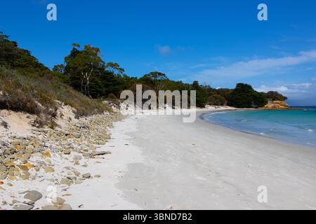 Plage sur le chemin de la falaise peinte Maria Island, Tasmanie, 2025 Banque D'Images