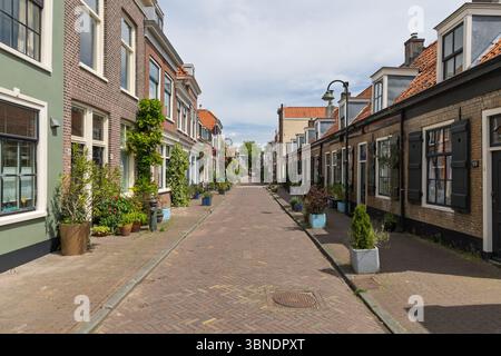 Une rue pittoresque pavée de briques à Delft, bordée de charmantes maisons hollandaises traditionnelles, de plantes en pot vibrantes et d'une végétation luxuriante. Banque D'Images