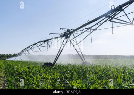 Système agricole d'irrigation à pivot sur champ de maïs Banque D'Images